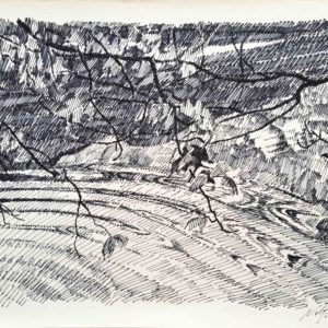 Riflessi nel Lago di Tovel 1986 - schizzo a penna